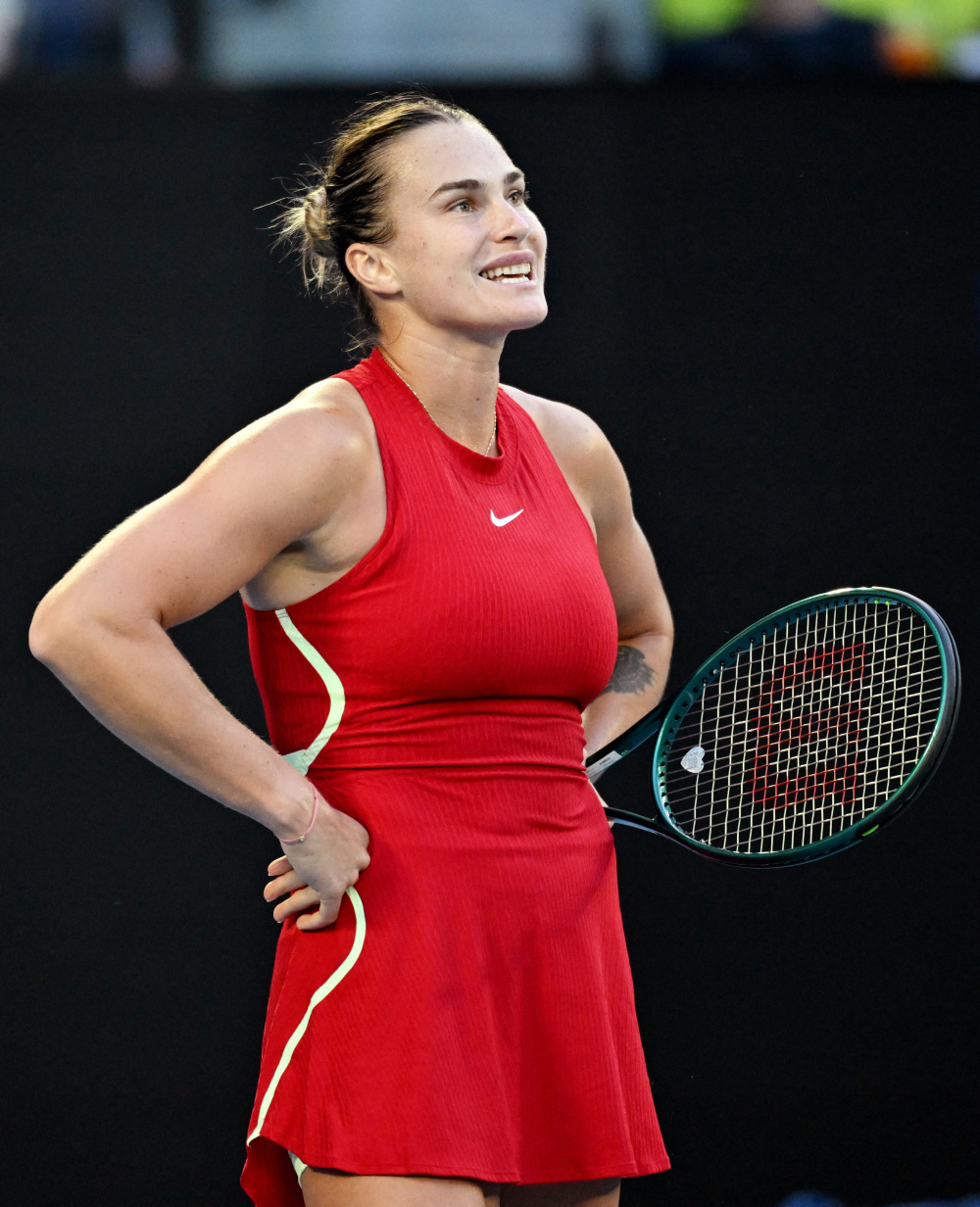 向以坚韧的 向以坚韧的